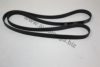 AUTOMEGA 3013400665 V-Ribbed Belts